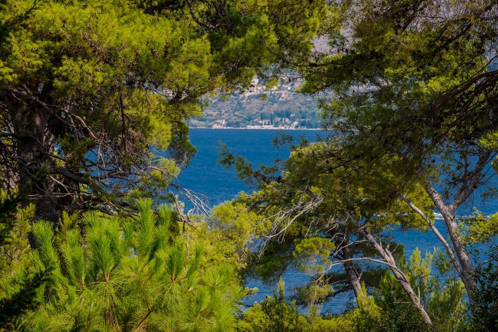 Apartment Dora Cavtat Esterno foto